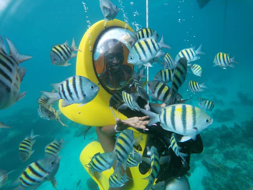 Punta Cana: Scubadoo Ocean Exploration Diving Adventure - The El Niño Water Site: Your Underwater Session Plus Snorkeling