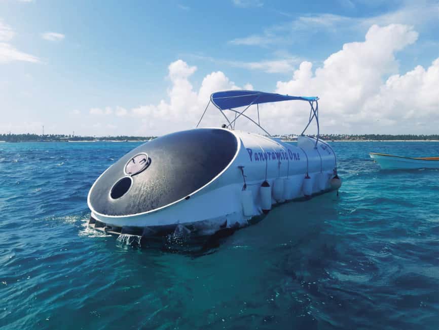 Punta Cana: Scubadoo Ocean Exploration Diving Adventure - Hotel Pickup to Cabeza de Toro Platform: How the Day Flows