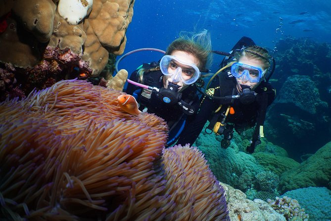 Quicksilver Dive 4 Day PADI Learn to Dive Course - Key Highlights at a Glance