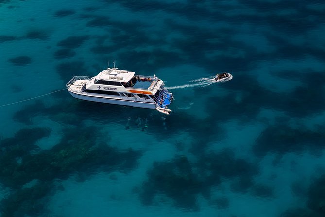 Quicksilver Dive 4 Day PADI Learn to Dive Course - Days 3 and 4: Outer Reef Trips to Agincourt Ribbon Reefs