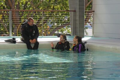 Quicksilver Dive 4 Day PADI Learn to Dive Course - Days 1 and 2: Warner Street Training Centre and a Heated Pool