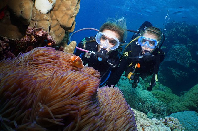 Quicksilver Dive 4 Day PADI Learn to Dive Course - What the Small-Group Coaching Really Means in the Water