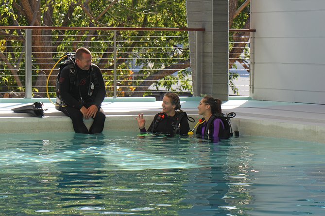 Quicksilver Dive 4 Day PADI Learn to Dive Course - Days 1 and 2: Warner Street Training Centre and a Heated Pool