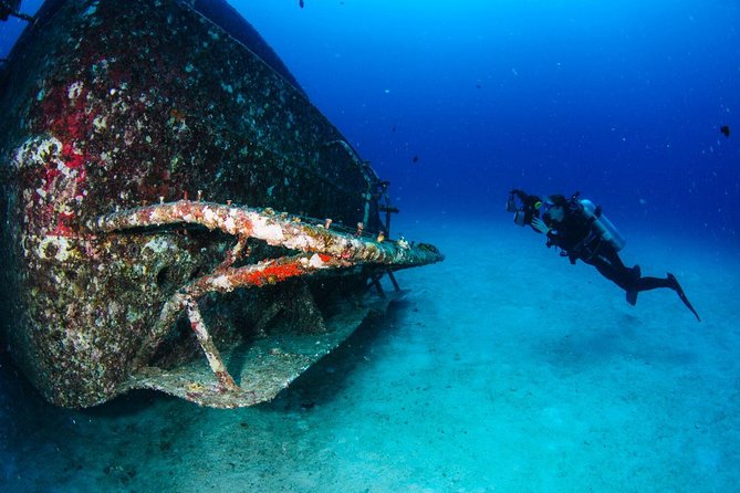 Racha Noi and Racha Yai Dive Trip from Phuket - Koh Racha Noi morning sessions: relaxed timing and strong fish life