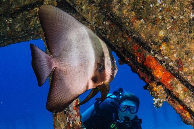 Racha Noi and Racha Yai Dive Trip from Phuket - Who this trip suits (and who should choose something else)