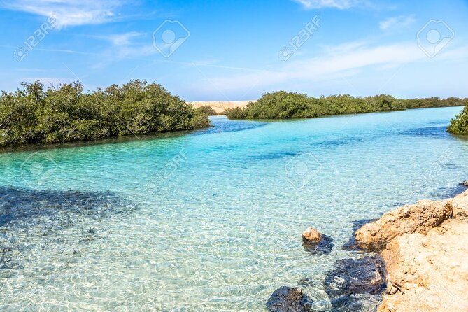 Ras Mohamed and White Island Snorkeling Trip and One Stop Diving-Sharm El Shiekh - Key things I’d bookmark before you go