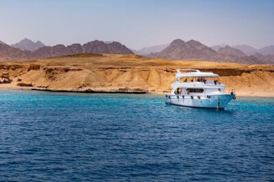 Ras Mohamed and White Island Snorkeling Trip and One Stop Diving-Sharm El Shiekh - From Sharm el Sheikh pickup to the first swim: how the schedule feels