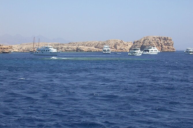 Ras Mohamed and White Island Snorkeling Trip and One Stop Diving-Sharm El Shiekh - White Island: the strange beauty and the photo reality