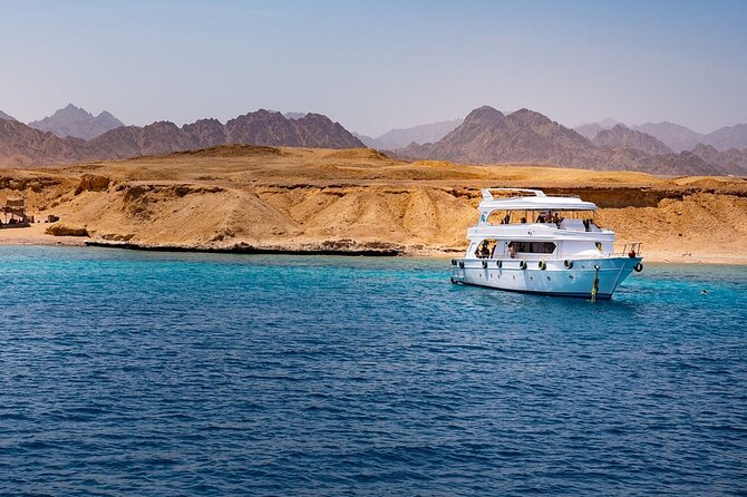 Ras Mohamed and White Island Snorkeling Trip and One Stop Diving-Sharm El Shiekh - From Sharm el Sheikh pickup to the first swim: how the schedule feels