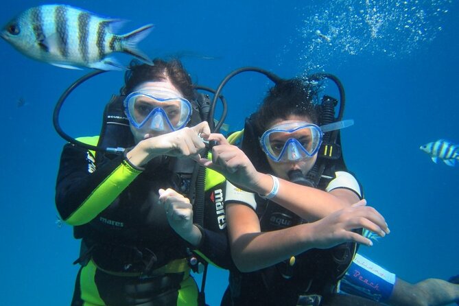 Ras Mohamed & White Island, Snorkeling & Diving - Sharm el sheikh - Why Ras Mohamed and White Island work so well together