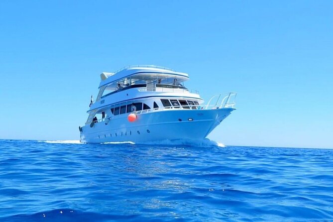 Ras Mohamed & White Island, Snorkeling & Diving - Sharm el sheikh - Food, drinks, and gear: what you get and what you should plan for