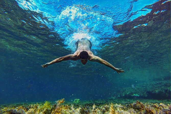 Ras Mohamed & White Island, Snorkeling & Diving - Sharm el sheikh - Price and value: why $28 can make sense (and when it might not)