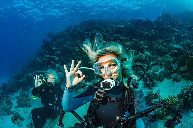Ras Mohamed, White Island Trip, Two Stops Diving -Sharm El Sheikh - Snorkeling Stops: Two Chances to Get It Right