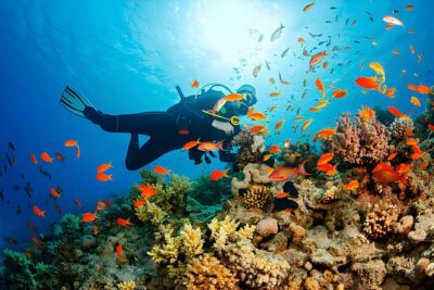 Ras Mohamed, White Island Trip, Two Stops Diving -Sharm El Sheikh - Boat Time Reality: Comfort, Food, and the Chance of a Long Sail