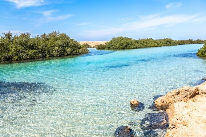 Ras Mohammed Diving Day Trip from Sharm el-Sheikh - Ras Mohammed National Park: Why the Location Matters