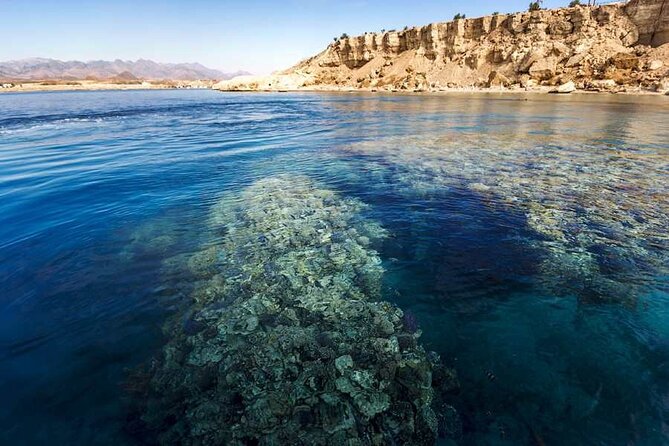 Ras Mohammed Diving & White Island Luxurious Cruise with Lunch - Morning logistics: pickup, timing, and why it matters