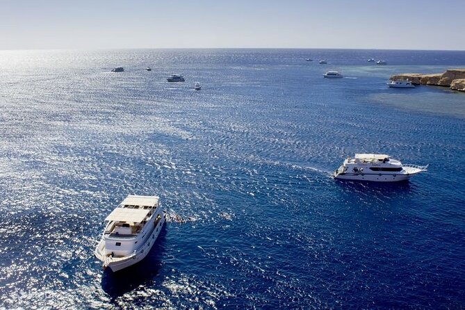 Ras Mohammed Diving & White Island Luxurious Cruise with Lunch - Ras Mohammed snorkeling: where your attention should go