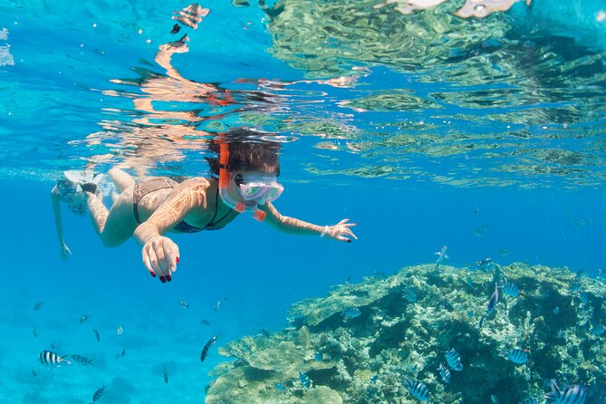 Ras Mohammed Diving & White Island Luxurious Cruise with Lunch - Weather and wind: the one factor that can swing the day