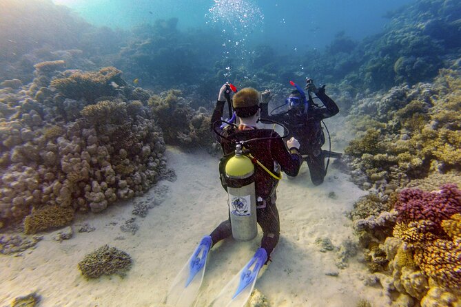 Red Sea Diving Trip from Hurghada: Beginner to Advanced Divers - Equipment, Crew, and the Safety Mindset That Gets Praised