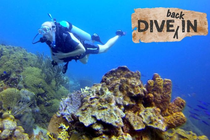 Refresher Dive - Key highlights worth knowing