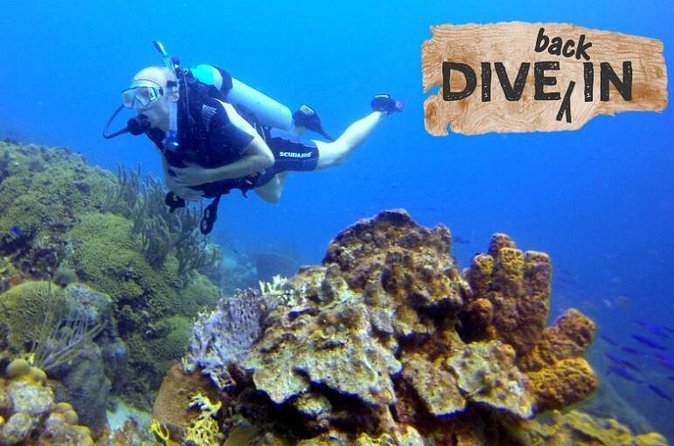 Refresher Dive - Why small-group instruction makes this feel easier