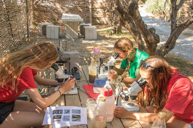 Research diving with a Marine Biologist in Crete - What’s included (and why it changes the value)