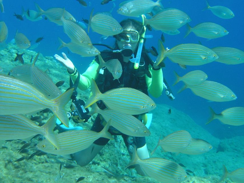Rhodes: Diving Adventure for Beginners and Experts - Quick reasons this Rhodes outing earns high marks