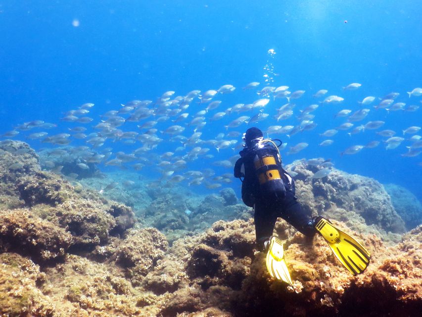 Rhodes: Diving Adventure for Beginners and Experts - Your Rhodes base: Mandraki Harbour and a tight group