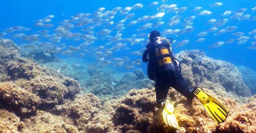 Rhodes: Diving Adventure for Beginners and Experts - The training moment: breathing practice first, then your guided time