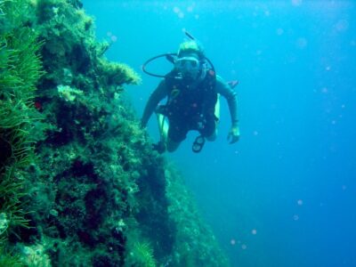 Rhodes: Diving Adventure for Beginners and Experts - Getting suited up: gear included, and help that actually stays with you