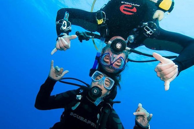 Rhodes Scuba Diving Experience - Key points that matter for your Rhodes underwater day