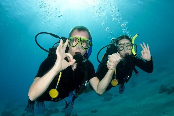 Rhodes Scuba Diving Experience - Mandraki Harbour to Kalithea Springs: how the day gets going