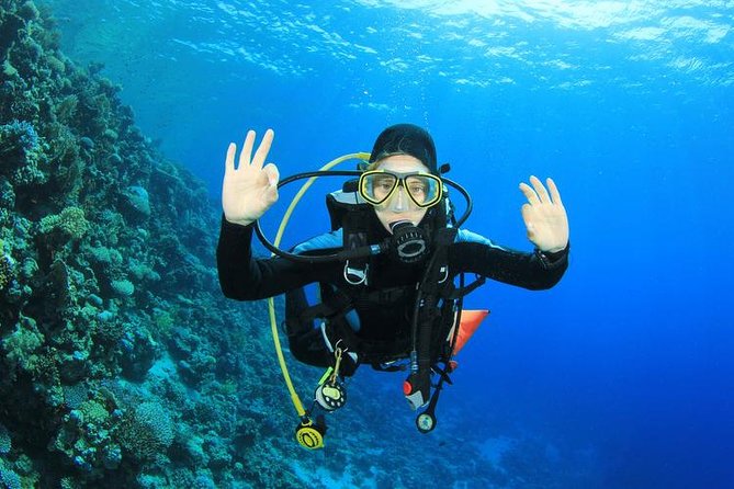 Rhodes Scuba Diving Experience - Price and value: what the $78.27 covers (and what doesn’t)