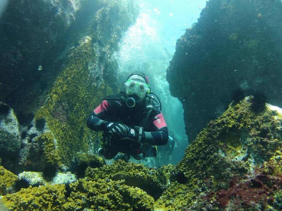 Rio: Best Dive Experience All Inclusive Scuba Diving Package - How the Rio-to-Arraial do Cabo day plan actually plays out