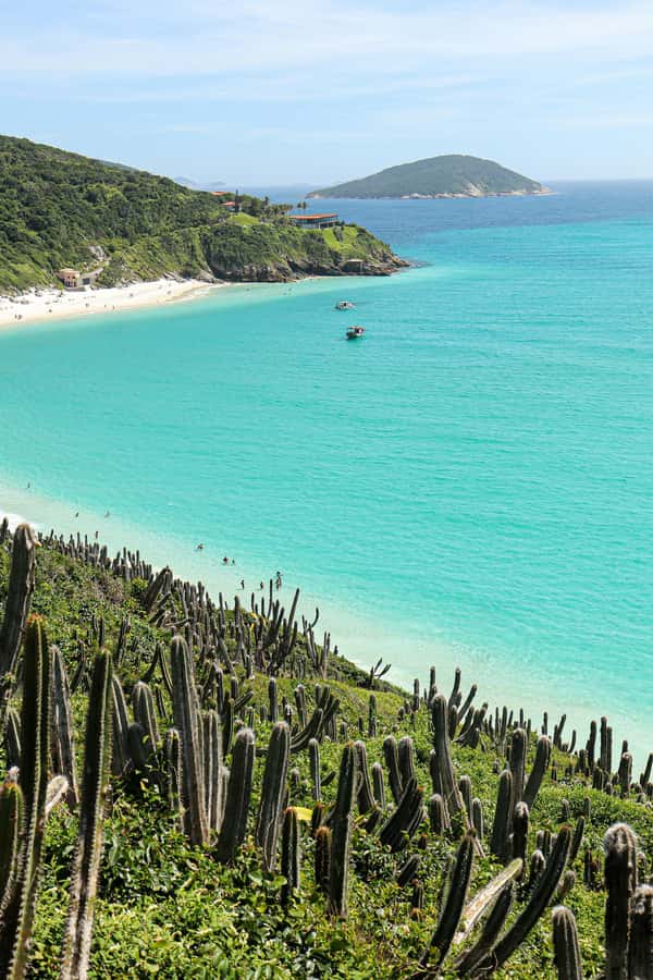 Rio: Best Dive Experience All Inclusive Scuba Diving Package - The marine life viewing vibe: don’t rush the “close-up”