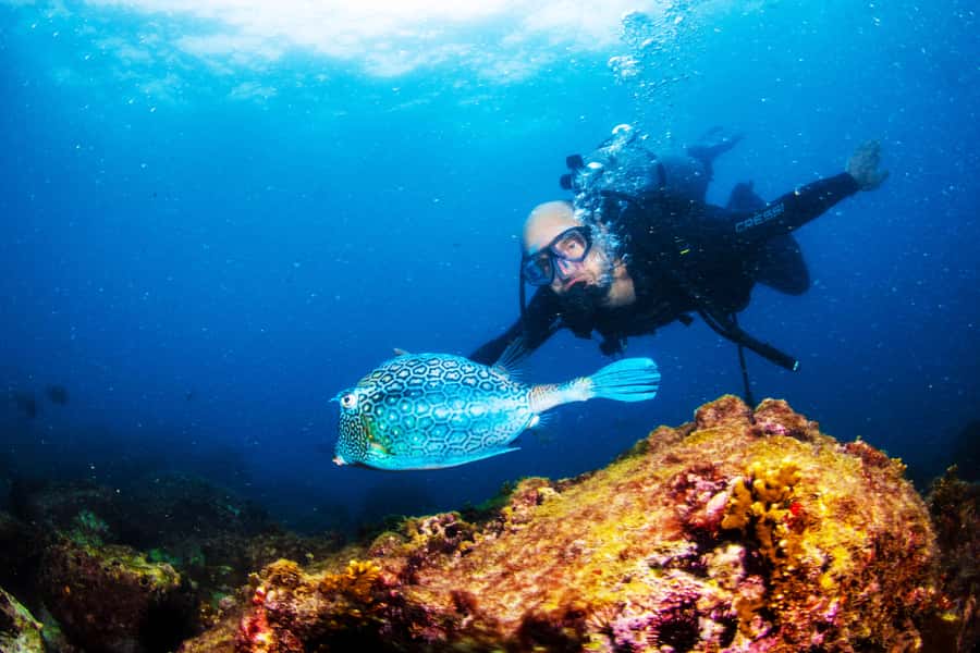Rio de Janeiro: Arraial do Cabo Scuba Diving Day Trip - From Rio to Arraial do Cabo: The 10-Hour Timing That Works