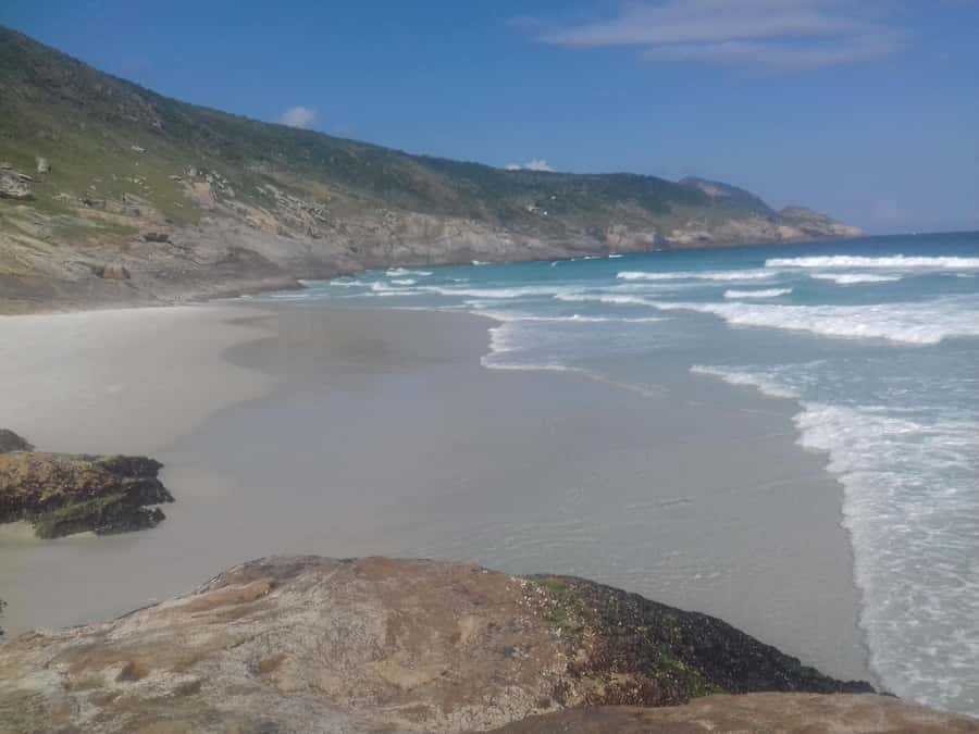 Rio de Janeiro: Arraial do Cabo Scuba Diving Day Trip - What You’ll See in Arraial do Cabo’s Atlantic Waters