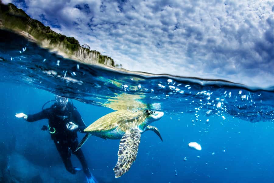 Rio de Janeiro: Arraial do Cabo Scuba Diving Day Trip - Food, Lunch Breaks, and What You Should Pack