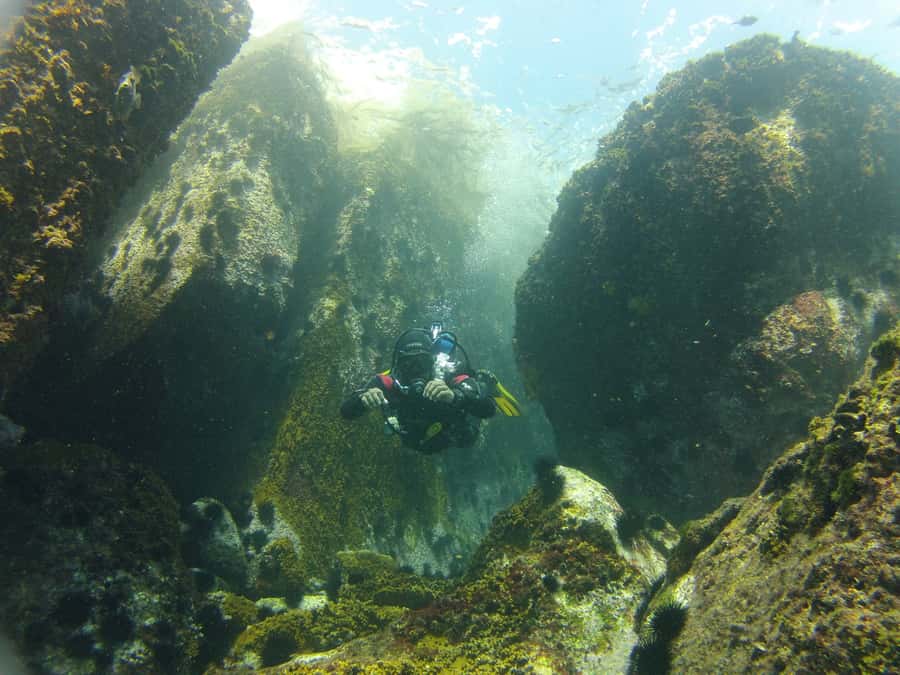 Rio de Janeiro: Arraial do Cabo Scuba Diving Day Trip - Cost and Value: Is $255 Fair for a Full-Day Small-Group Trip?