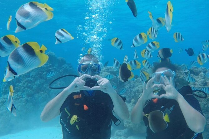 Romantic Dive for beginners in Bora Bora (2 people) with Video - Key highlights to know before you go