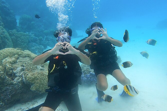 Romantic Dive for beginners in Bora Bora (2 people) with Video - Where you meet: Matira beach Nunu’e and the transfer window