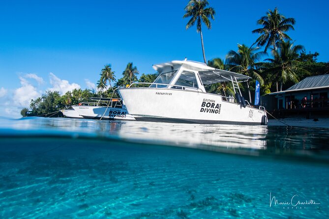 Romantic Dive for beginners in Bora Bora (2 people) with Video - What happens during the two-hour plan