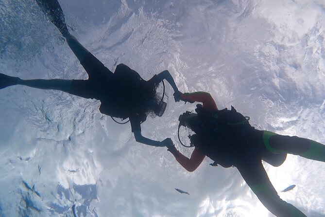 Romantic Dive for beginners in Bora Bora (2 people) with Video - Price and value for a romantic two-person group