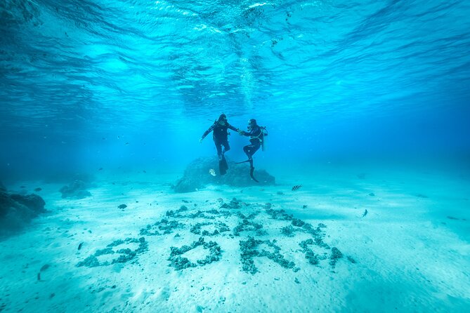 Romantic dive in the lagoon of Bora Bora. Private instructor on a shared boat - Key things to know before your Bora Bora lagoon session