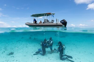 Romantic dive in the lagoon of Bora Bora. Private instructor on a shared boat - The 2-hour rhythm: what usually happens from 2:00 pm onward