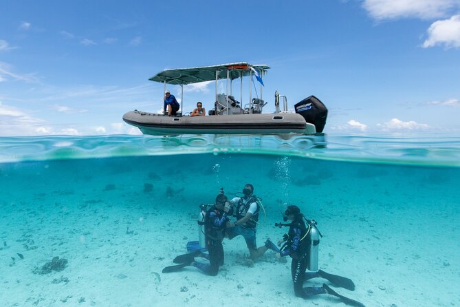 Romantic dive in the lagoon of Bora Bora. Private instructor on a shared boat - The 2-hour rhythm: what usually happens from 2:00 pm onward