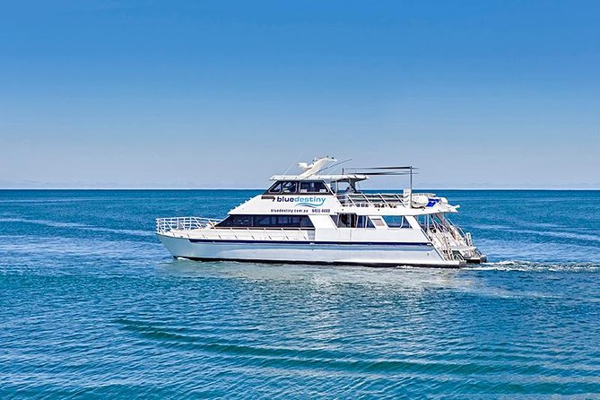 Rottnest Island Boat Dive Day Trip including Lunch - Key things to know before you go