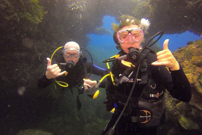 Rottnest Island Boat Dive Day Trip including Lunch - Two scuba water sessions plus snorkeling: how the day is paced