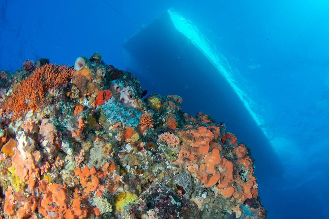 Rottnest Island scuba dive tour - Your underwater scuba sessions and snorkel-or-relax choices