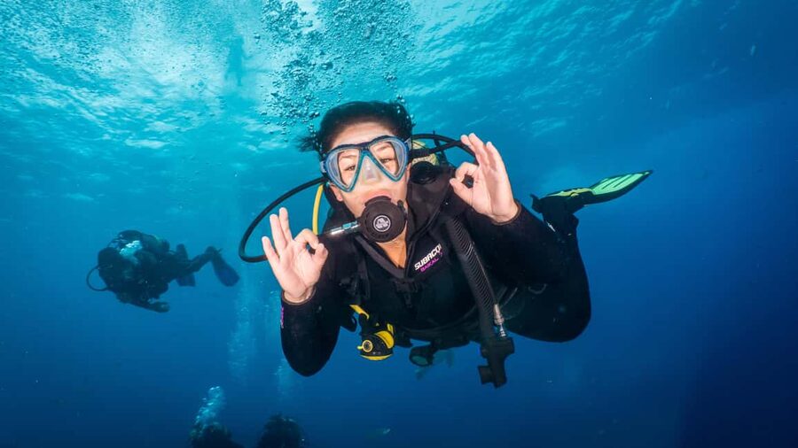 S. Tenerife: 2 Dives for Beginners (Beach + Boat Experience) - Key highlights that matter on the day